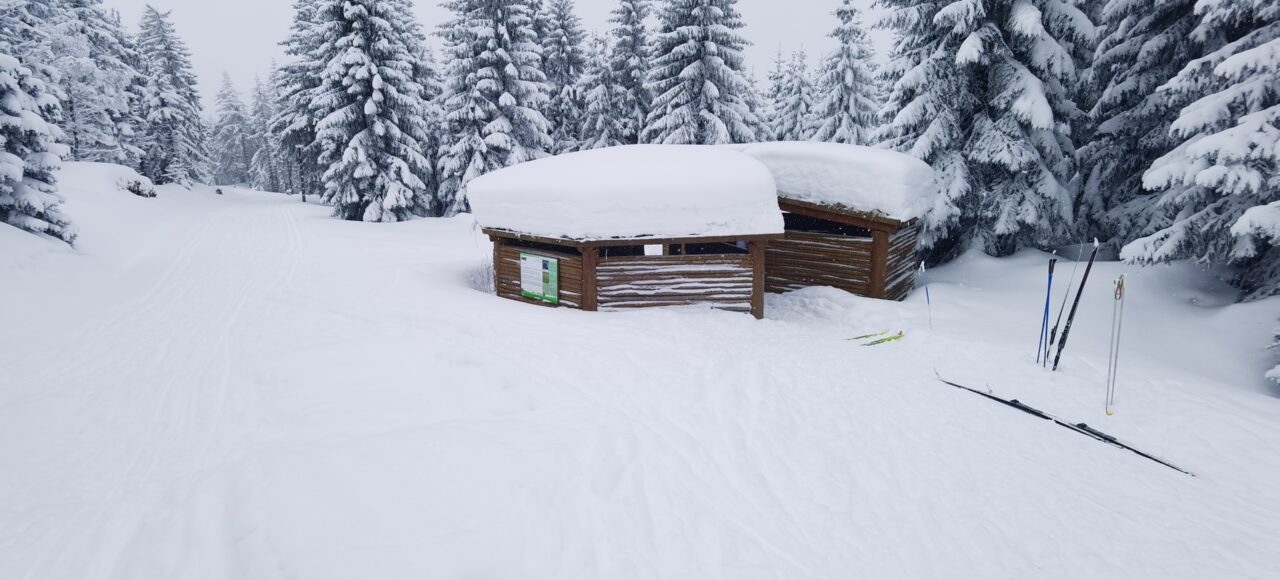 Biegówki Jakuszyce StartSki (3)